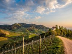 Medienmitteilung vom 27. November 2024