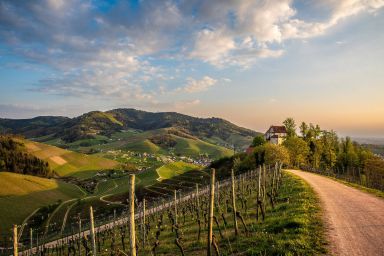 Medienmitteilung vom 27. November 2024