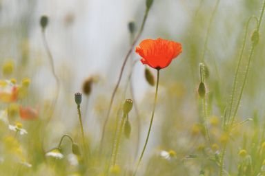 Medienmitteilung Grosser Kirchenrat; 19. Mai 2025