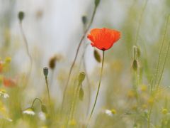 Medienmitteilung Grosser Kirchenrat; 19. Mai 2025