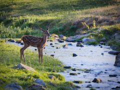 Grosser Kirchenrat; Beschlüsse vom 27. Januar 2025