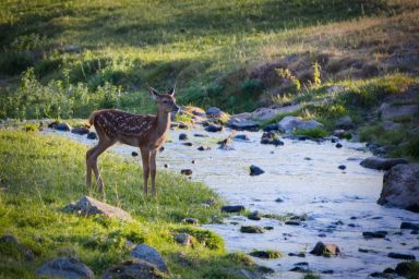 Grosser Kirchenrat; Beschlüsse vom 27. Januar 2025